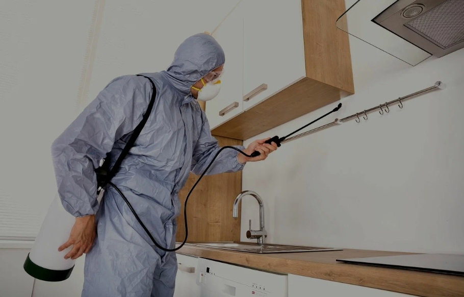 Encinitas pest managment